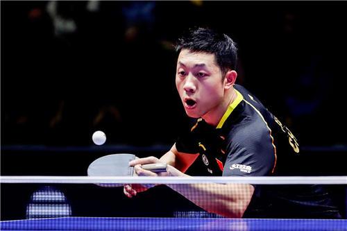 体育代表团 体育代表团